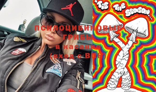 спайс Баксан