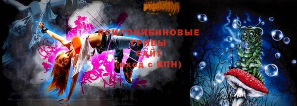 спайс Баксан