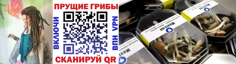 Галлюциногенные грибы мицелий  Кунгур 
